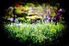 dailyPhoto14