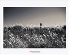 dailyPhoto30