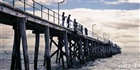 dailyPhoto40