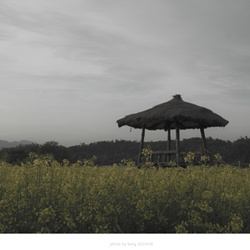 dailyPhoto31