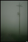 dailyPhoto1