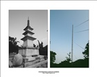 dailyPhoto9