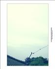 dailyPhoto16