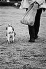 dailyPhoto9
