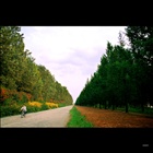 dailyPhoto1