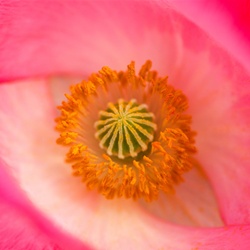 dailyPhoto31