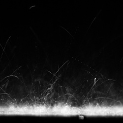 dailyPhoto8