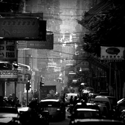 dailyPhoto38