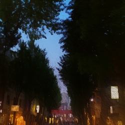 dailyPhoto9
