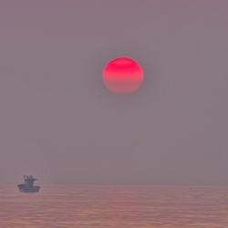 dailyPhoto16