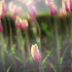 dailyPhoto25