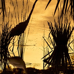 dailyPhoto13
