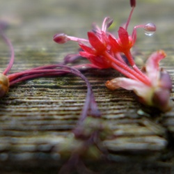 dailyPhoto32
