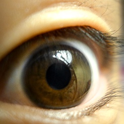 dailyPhoto15