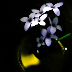 dailyPhoto17