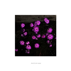 dailyPhoto34