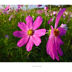 dailyPhoto20