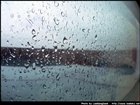dailyPhoto20