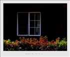 dailyPhoto38