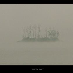 dailyPhoto36
