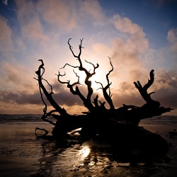 dailyPhoto39