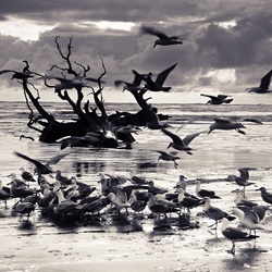 dailyPhoto7