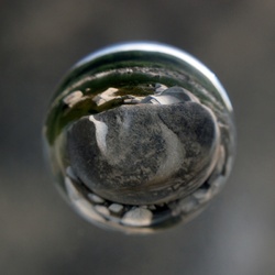 dailyPhoto25