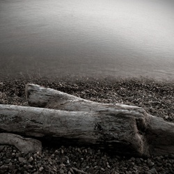 dailyPhoto5