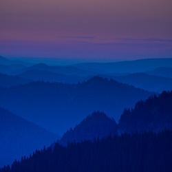 dailyPhoto34