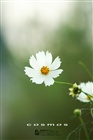 dailyPhoto2