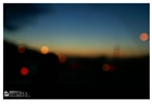 dailyPhoto7