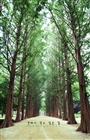 dailyPhoto8