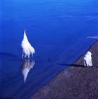 dailyPhoto1