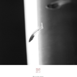 dailyPhoto5