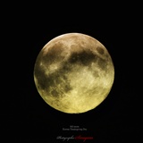 dailyPhoto7