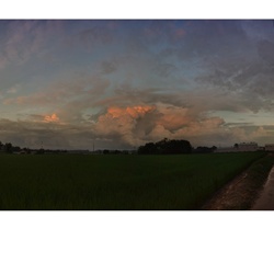 dailyPhoto8