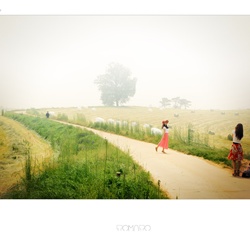 dailyPhoto4