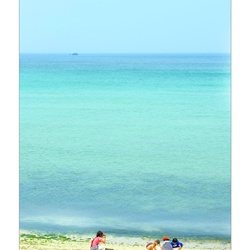 dailyPhoto39