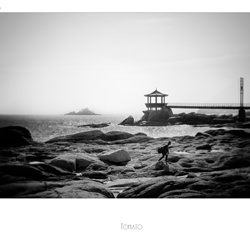 dailyPhoto8