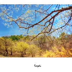 dailyPhoto9