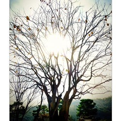 dailyPhoto21