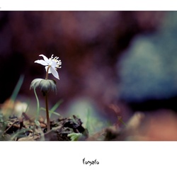 dailyPhoto7