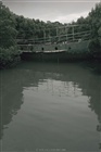 dailyPhoto8