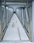 dailyPhoto29