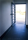 dailyPhoto40