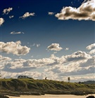 dailyPhoto15