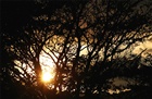 dailyPhoto9