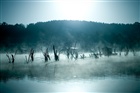 dailyPhoto26