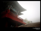 dailyPhoto4