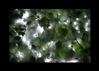 dailyPhoto2